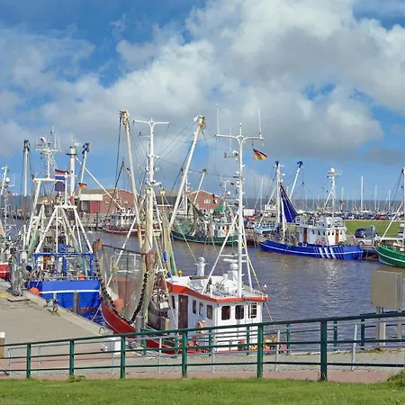 Klippenbarsch * Dornum