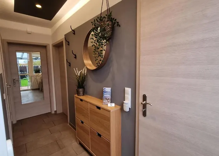 Klippenbarsch Dornum